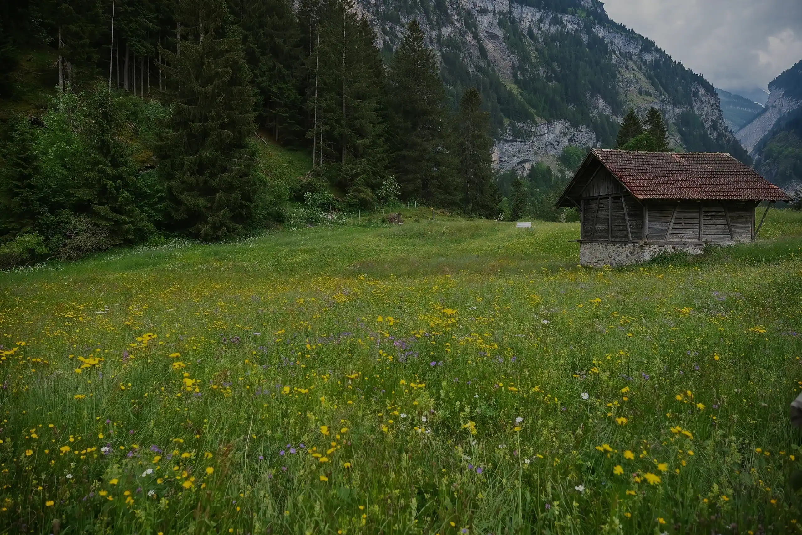 Blumenwiese mit Heuschober im Tal bei Kandersteg